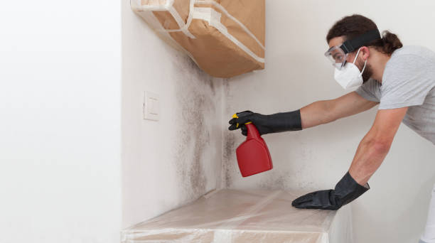 Professional Crawl Space Mold Removal technician working in Pentwater, MI