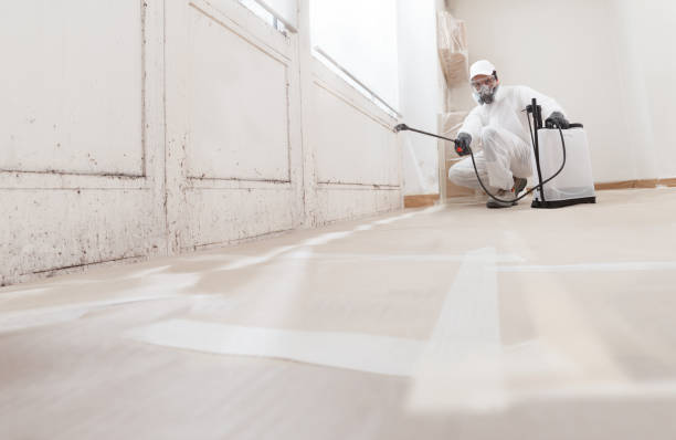 24/7 Emergency Crawl Space Mold Removal experts in Pentwater, MI